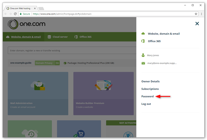 Click password in the menu that appears