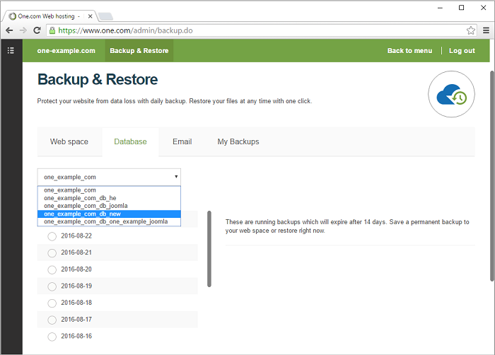 Select the database you want to restore a backup for