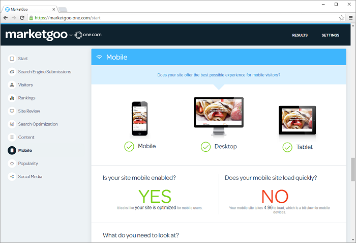 MarketGoo let's you know if your site also looks good on a mobile